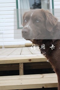 信用卡逾期多久后还可以办房贷 信用卡逾期多久后还可以办房贷