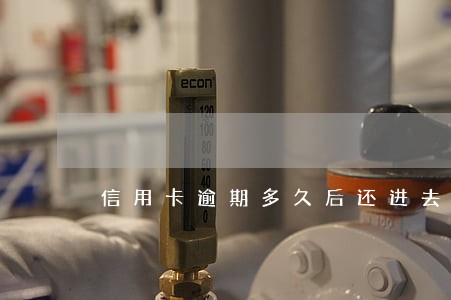 信用卡逾期多久后还进去的是本金