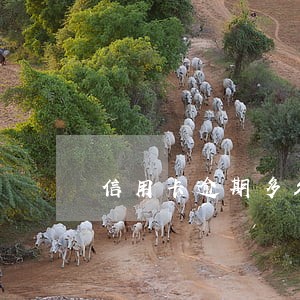 信用卡逾期多久回上征信 信用卡逾期多久回上征信