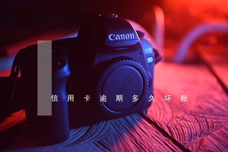 信用卡逾期多久坏账 信用卡逾期多久坏账