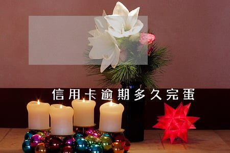信用卡逾期多久完蛋 信用卡逾期多久完蛋