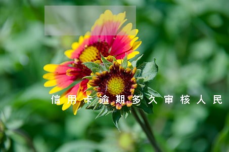 信用卡逾期多久审核人民银行