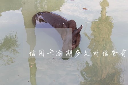 信用卡逾期多久对信誉有影响吗 信用卡逾期多久对信誉有影响吗
