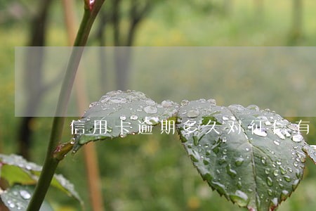 信用卡逾期多久对征信有影响 信用卡逾期多久对征信有影响
