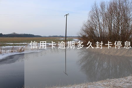 信用卡逾期多久封卡停息 信用卡逾期多久封卡停息