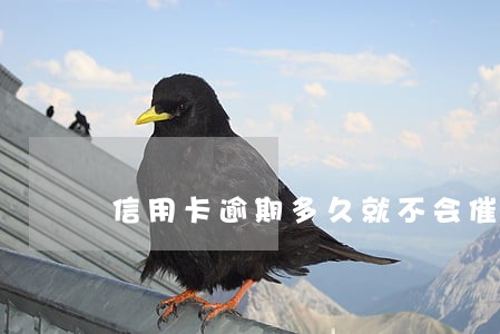 信用卡逾期多久就不会催收了 信用卡逾期多久就不会催收了