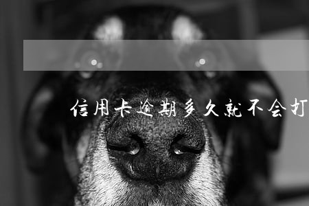 信用卡逾期多久就不会打电话了