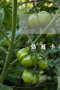 信用卡逾期多久就会被拉黑