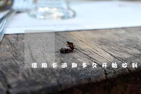信用卡逾期多久开始收利息 信用卡逾期多久开始收利息