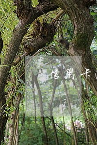 信用卡逾期多久开始收滞纳金 信用卡逾期多久开始收滞纳金
