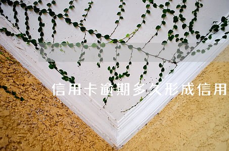 信用卡逾期多久形成信用卡呆账 信用卡逾期多久形成信用卡呆账