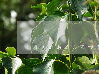 信用卡逾期多久影响个人信用 信用卡逾期多久影响个人信用