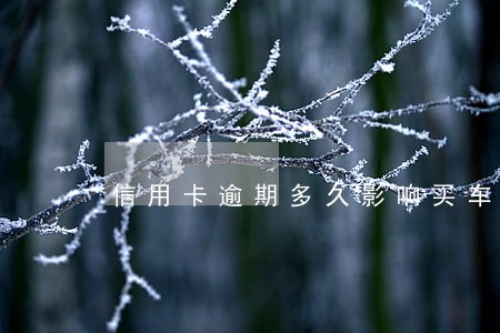 信用卡逾期多久影响买车买房