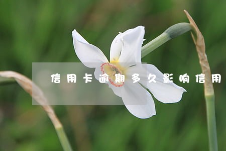 信用卡逾期多久影响信用度吗 信用卡逾期多久影响信用度吗