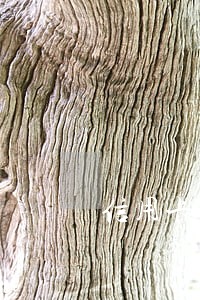 信用卡逾期多久影响征信记录