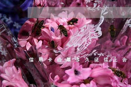 信用卡逾期多久征信上会显示 信用卡逾期多久征信上会显示