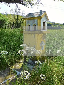 信用卡逾期多久征信上显示呆账 信用卡逾期多久征信上显示呆账