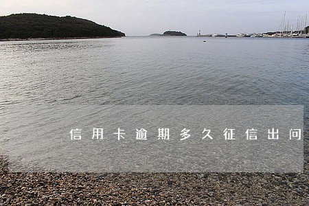 信用卡逾期多久征信出问题 信用卡逾期多久征信出问题