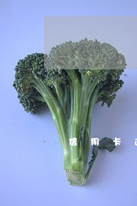 信用卡逾期多久征信就黑了