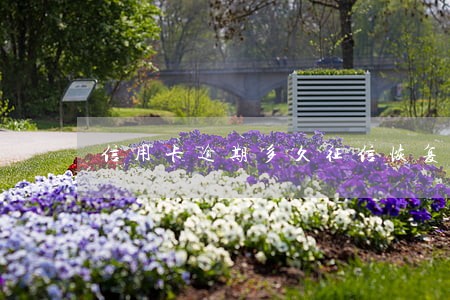信用卡逾期多久征信恢复 信用卡逾期多久征信恢复