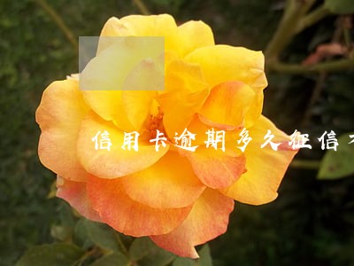 信用卡逾期多久征信才会有影响 信用卡逾期多久征信才会有影响