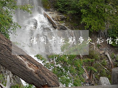 信用卡逾期多久征信报告显示