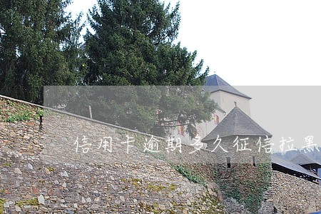 信用卡逾期多久征信拉黑 信用卡逾期多久征信拉黑