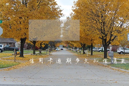 信用卡逾期多久征信消失 信用卡逾期多久征信消失