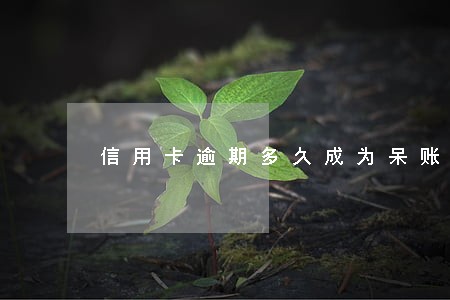 信用卡逾期多久成为呆账 信用卡逾期多久成为呆账