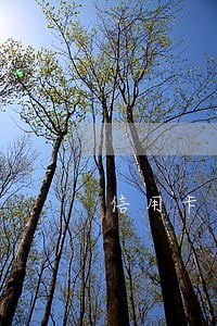 信用卡逾期多久成刑事 信用卡逾期多久成刑事