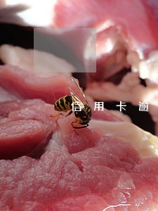 信用卡逾期多久才会呆账
