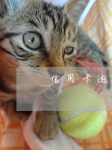 信用卡逾期多久才会征信取消