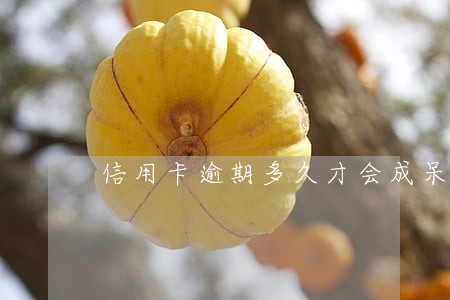 信用卡逾期多久才会成呆账 信用卡逾期多久才会成呆账