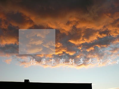 信用卡逾期多久才会扣征信