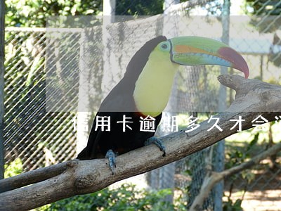 信用卡逾期多久才会消失