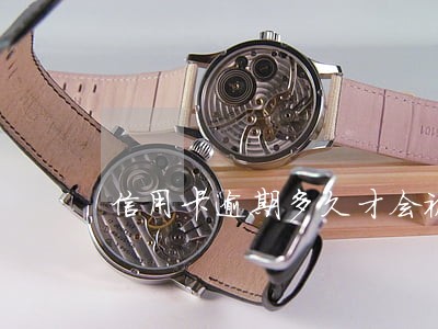 信用卡逾期多久才会被停卡 信用卡逾期多久才会被停卡