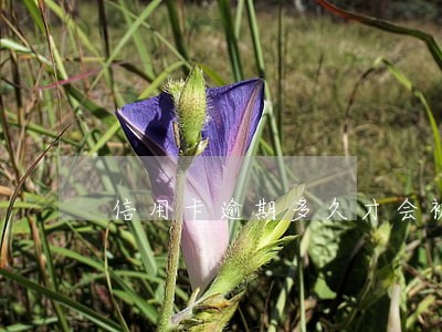 信用卡逾期多久才会被催收 信用卡逾期多久才会被催收