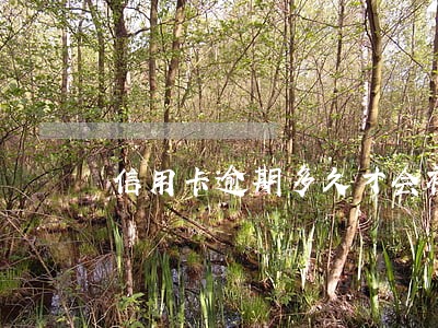 信用卡逾期多久才会被寄出律师函 信用卡逾期多久才会被寄出律师函