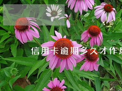 信用卡逾期多久才作废 信用卡逾期多久才作废