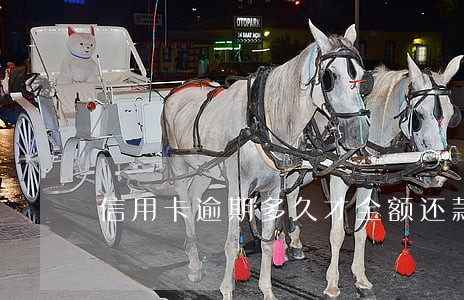 信用卡逾期多久才全额还款