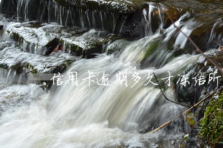 信用卡逾期多久才冻结所有借记卡 信用卡逾期多久才冻结所有借记卡