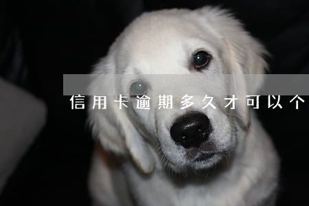 信用卡逾期多久才可以个性化分期 信用卡逾期多久才可以个性化分期