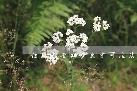 信用卡逾期多久才可以消除 信用卡逾期多久才可以消除