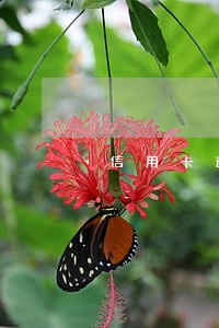 信用卡逾期多久才可以通知家人 信用卡逾期多久才可以通知家人