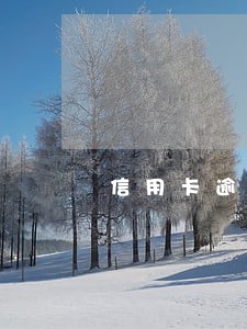 信用卡逾期多久才影响坐飞机 信用卡逾期多久才影响坐飞机