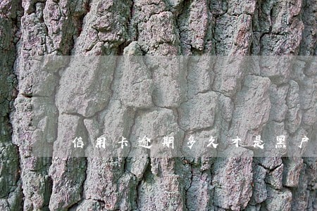 信用卡逾期多久才是黑户 信用卡逾期多久才是黑户