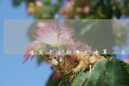信用卡逾期多久才算一次