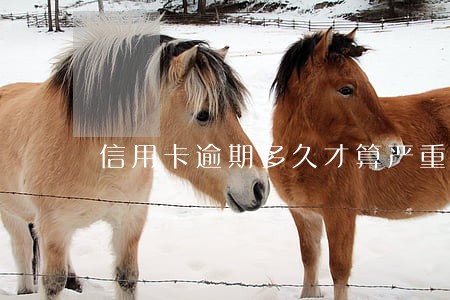 信用卡逾期多久才算严重逾期 信用卡逾期多久才算严重逾期