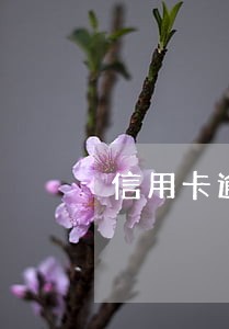 信用卡逾期多久才算坏账