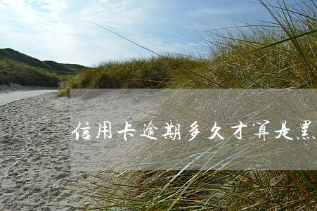 信用卡逾期多久才算是黑名单 信用卡逾期多久才算是黑名单